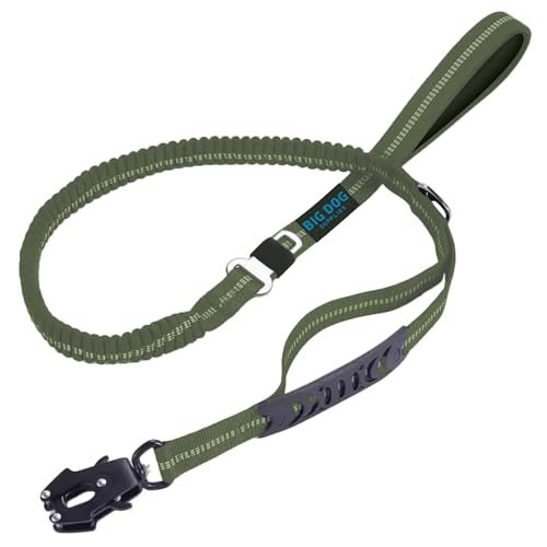 Big Dog Supplies Strapazierfähige Hundeleine, 1,8 m, reflektierend, Bungee-, taktische und Trainingsleine für große und mittelgroße Hunde, starke, langlebige und leichte Leine, Grün (Viridian Green) von Big Dog Supplies