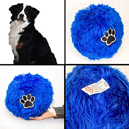 Weicher flauschiger Ball für Berner Sennenhund, großer Ball von Big Red Egg