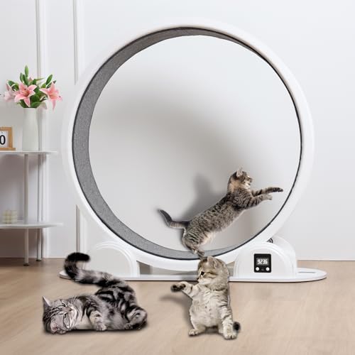 Katzenlaufrad, Laufband für Katzen mit einem Durchmesser von 110cm, Indoor-Laufband für große Katzen, ultraleises Laufband für Katzen, Kunststoff-Haustier-Laufband von Bigougem