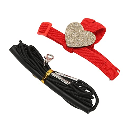 Biitfuu Flying Harness Leash, 2,2 M Lang, Sicher, Langlebig, Cartoon-Stil, Vogel, Fliegendes Zugseil, Elastisches Material, Verstellbar Zum Fliegen (S) von Biitfuu