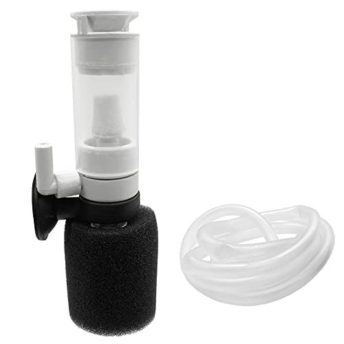 Bilindasly Ultra-leiser Mini-Schwamm, Fischfilter, 3-in-1, biochemischer Schwamm, Wasserreiniger, Luftpumpenfilter für kleine Aquarien von Bilindasly