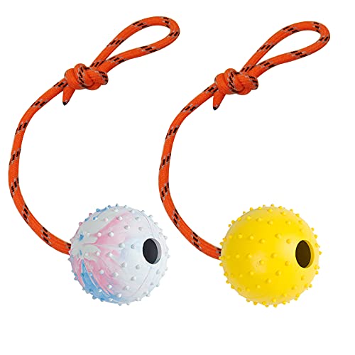 Nevperish Hundeball, K9-Ball, Vollgummiball am Seil für Belohnung, Apportieren, Spielen, 2 Stück (6 cm) von Nevperish