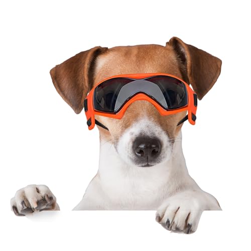 BillionChains Hundebrille mit verstellbarem Riemen, Hundesonnenbrille, UV-Schutz, Winddicht, Hundebrille für Hunde, Orange von BillionChains