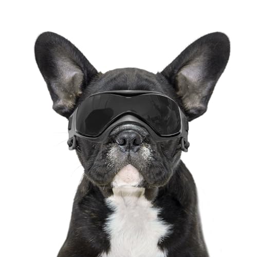 BillionChains Hundebrille mit verstellbarem Riemen, Hundesonnenbrille, UV-Schutz, Winddicht, Hundebrille für Hunde, Schwarz von BillionChains