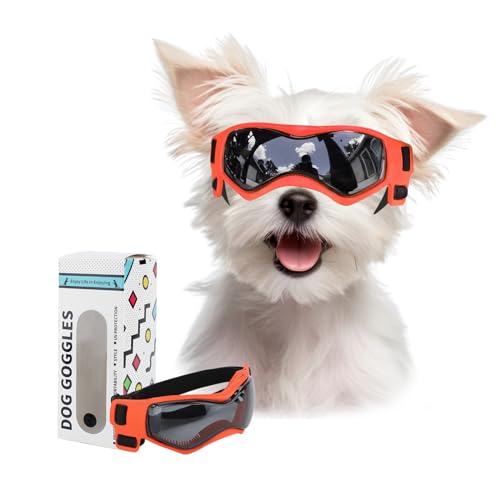 BillionChains Hundebrille mit verstellbarem Riemen, Hundesonnenbrille, UV-Schutz, Winddichte Hundebrille für kleine Hunde, Orange von BillionChains