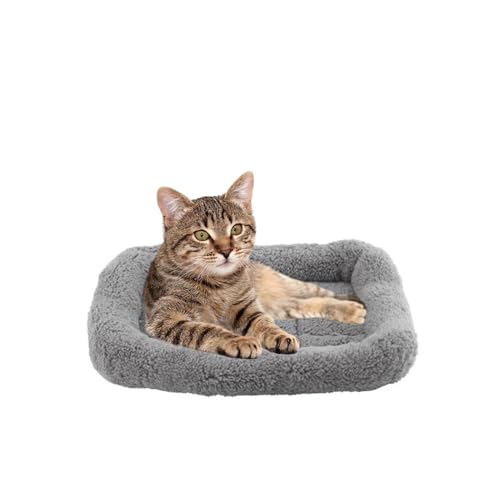 BillionChains Katzenbett für den Innenbereich, Kätzchenbett, gemütlich, weich, waschbar, Haustierbett mit Rutschfester Unterseite-M von BillionChains