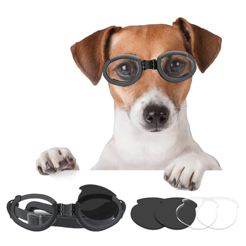 Billionchains Hundebrille Einstellbar Sonnenbrille Winddicht Hund Motorradbrille Austauschbaren Gläsern (Schwarz +Klar) Hundebrille für Mittlere bis Große Hunde von BillionChains