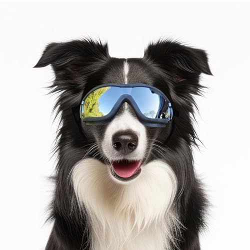 Billionchains Hundebrille Winddichte Staubdichte Augenschutzbrille für Hunde Sonnenbrillen für Mittlere Große Hunde mit Verstellbaren Bändern/Schwarz von BillionChains