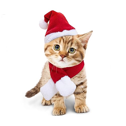 Billionchains 2 Stücke Haustier Weihnachten Kleidung Anzug, verstellbare Katze Xmas Outfit Zubehör, Hund und Katze Kleidung für Weihnachten - Rot von Billionchains