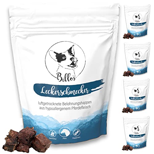 Leckerschmecker Pferdefleisch Getrocknet Pur Hunde-Leckerlis Hypoallergen - Trockenfleisch für Hunde Dörrfleisch - Hundeleckerli Getreidefrei Dog Treats | Billos Pferd Fleisch 5er-Pack (5x 70g = 350g) von Billo's