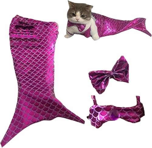 Bimhayuu Katze Meerjungfrau Kostüm Katze Meerjungfrau Schwanz Katze Meerjungfrau Outfit Meerjungfrau Katze Kostüm mit BH und Meerjungfrau lustige Haustierkostüme für Katze und Hund (S,Lila) von Bimhayuu