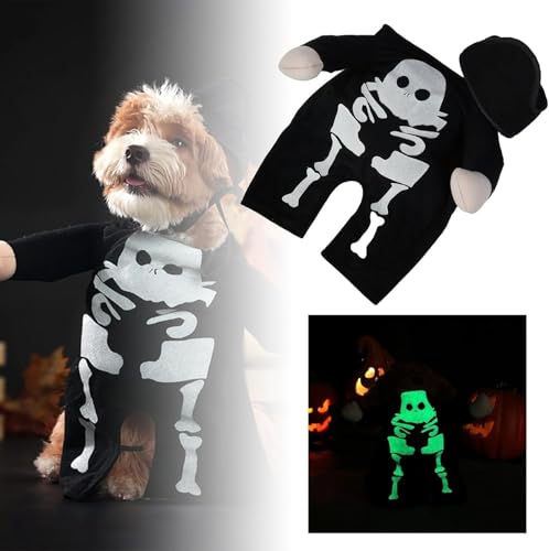 Bimhayuu Lustiges Hundekostüm, cooles Halloween-Kostüm für drinnen und draußen, Sweatshirt, Outfit, Kostüm, Hund, Halloween-Kostüme, Haustierkleidung für Katzen, Hunde, leuchtend, drei passende von Bimhayuu