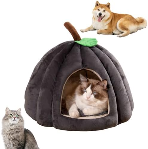 Bimhayuu Pumpkin Katzenbett, Katzenbetten für Indoor-Katzen, niedliche Kürbisform Katzenhöhlenbett, Katzenzelt mit abnehmbarem Kissen, warmes Höhlennest, Schlafbett, Welpenhaus für Katzen, kleine von Bimhayuu