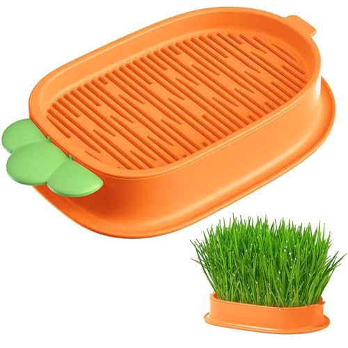 Katzengras Grow Kit Pflanze Keimschale Katzengras Samen Startschale Soilless Katzengras Keimschale Haushalt Katzengras Pflanzkasten (Orange) von Bimhayuu