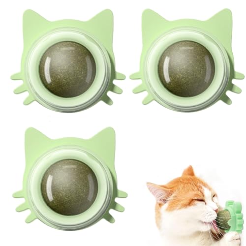 Katzenminze Balls Spielzeug für Katze Katzenminze Wandroller für Katzenlecken 360° Pfefferminzkugeln Zahnreinigung Dentales essbares Kätzchenspielzeug Natürliches drehbares Katzenspielzeug (3 stk) von Bimhayuu