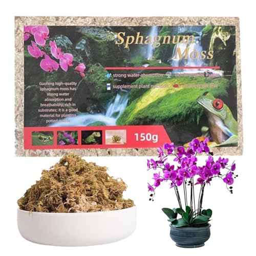 Sphagnum Moos,Binblin Moos,Spagnummoos für Pflanzen,Sphagnum Moos Pflanzen,Sphagnum Moss,moos für Pflanzen Eeignet für Orchideen Bromelien Terrarium Oder Schildkröte 200g von Binblin