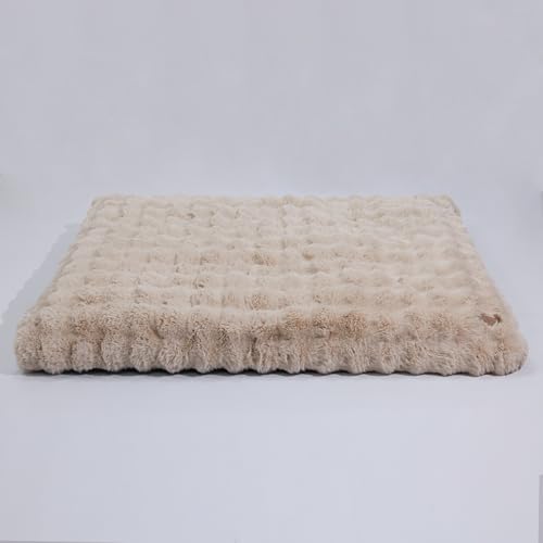 BingoPaw Hundebett Grosse Hunde waschbar: XXL Hundebetten flauschig Plüsch Hundematte für große mittelgroße Hunde, Hundekissen wasserdicht abnehmbar rutschfest Haustierbett Beige, 120x90x12 cm BingoPaw Hundebett Grosse Hunde waschbar: XXL Hundebetten flauschig Plüsch Hundematte für große mittelgroße Hunde, Hundekissen wasserdicht abnehmbar rutschfest Haustierbett Beige, 120x90x12 cm von BingoPaw