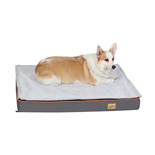 BingoPaw Hundebett aus Memory-Schaum, orthopädisches Hundebett mit orangefarbenem Rand, waschbar und wasserabweisend, Größe L (95 x 70 cm), Grau von BingoPaw