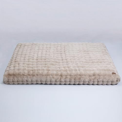 BingoPaw Hundebett für Menschen Hunde: 200x130x8 cm flauschig Human Dog Bed kuschelig weich Polsterung, Bezug abnehmbar, pflegeleicht, multifunktional Hundebett Hundematte Teppich Wohnzimmer, Beige BingoPaw Hundebett für Menschen Hunde: 200x130x8 cm flauschig Human Dog Bed kuschelig weich Polsterung, Bezug abnehmbar, pflegeleicht, multifunktional Hundebett Hundematte Teppich Wohnzimmer, Beige von BingoPaw