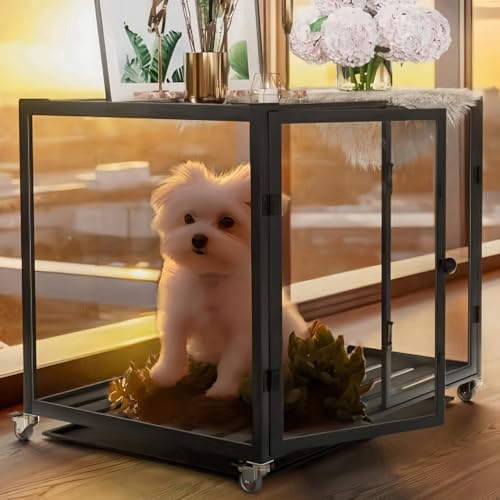 BingoPaw Hundekäfig Möbel Hundebox Indoor: Hundeboxen im Möbelstil aus Aluminium und gehärtetem Glas, Modern Hundehaus für kleine Hunde bis 50kg, M: 76x58.5x66.5 cm, schwarz von BingoPaw