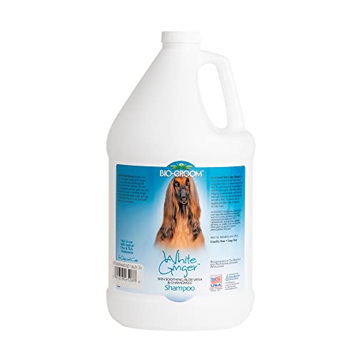 BIO-GROOM - White Ginger Shampoo - Hundeshampoo mit natürlichem Ingweraroma - Mit Aloe Vera, Kamille und Sojaprotein - Erfrischender Duft - Schäumt schnell - Einfaches Ausspülen - 3.8 L von Bio-groom