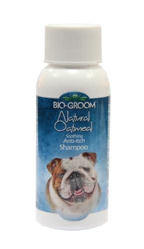 Bio-Groom - Natural Oatmeal - Haferflocken Shampoo - Hundeshampoo und Welpenshampoo - Lindert Juckreiz und spendet Feuchtigkeit - pH-neutral und frei von Parabenen - 59 ml von Bio-groom