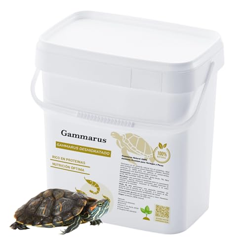 Gammarus für Wasserschildkröten, 10 l, 100 % natürliches getrocknetes Garnelenfutter, Schildkröten, Kaltwasserfische, Hamster, Igel, Reptilien - Proteine, Vitamine und gesunde Fette (10 l) von Bioky