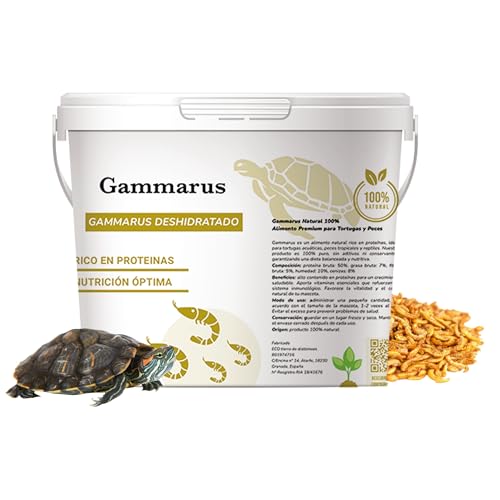 Gammarus für Wasserschildkröten, 2 l, 100 % natürliches getrocknetes Garnelenfutter, Schildkröten, Kaltwasserfische, Hamster, Igel, Reptilien - Proteine, Vitamine und gesunde Fette (2 l) von Bioky