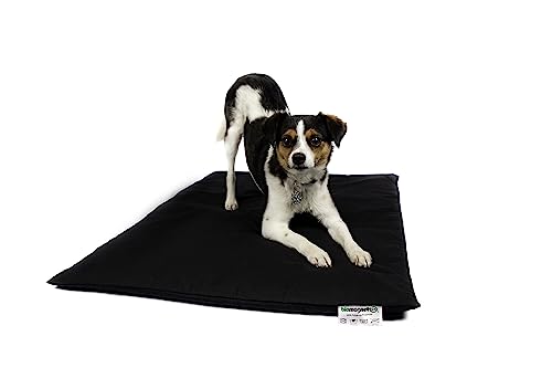 Biomagnet24®, 98cm x 70cm Magnetfeldmatte, Magnetfelddecke für Hunde und Pferde, Magnetfeldtherapie, Hundebett, Hundematte ideal geeignet bei Arthrose, Ellenbogendysplasie, Altersschwäche von Biomagnet24