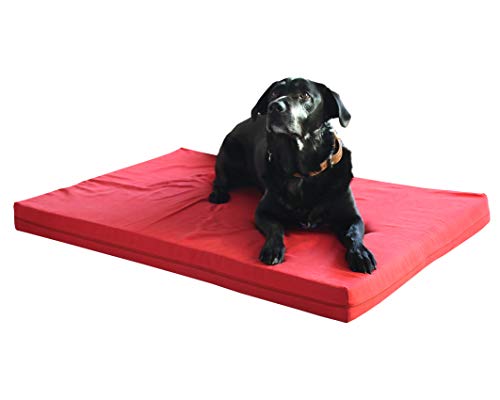 Luxus Hundebett BionaComfort mit Viscoschaum (Bellini rot, 60 x 40 x 8 cm) von Biona