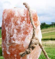 2 Stück Leckstein für Tiere 2-3 kg in Premiumqualität 2 Stück Leckstein für Tiere 2-3 kg in Premiumqualität von Biova