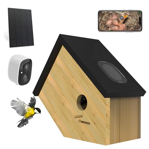 Birdkiss Intelligentes Vogelhaus mit Kamera, solarbetrieben, 3MP HD Live View, kleines Vogelhaus für draußen, Vogelnist- und Schlüpfen, ideales Geschenk für den Außenbereich für kleine Vogel und von Birdkiss