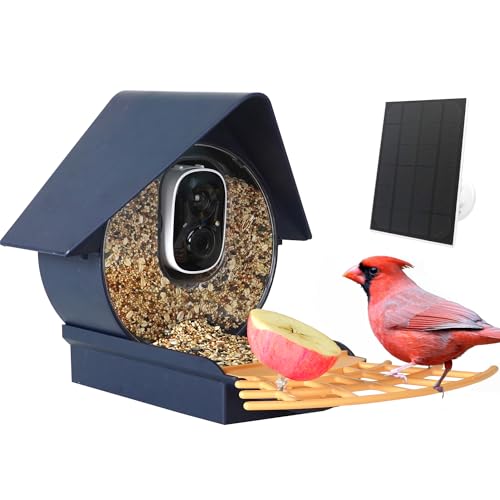 Birdkiss 【Smart Bird Feeder mit Kamera】Vogelbeobachtungskamera mit KI-Identifizierung, automatische Erfassung von Vogelvideos und App-Benachrichtigungen, ideales Geschenk für Vogelliebhaber von Birdkiss