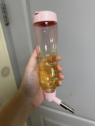 Kleine Tierwasserflasche für Vögel, Hamster, Meerschweinchen, Kaninchen und andere kleine Haustiere (Rosa, 230.2 g) von Birds Day