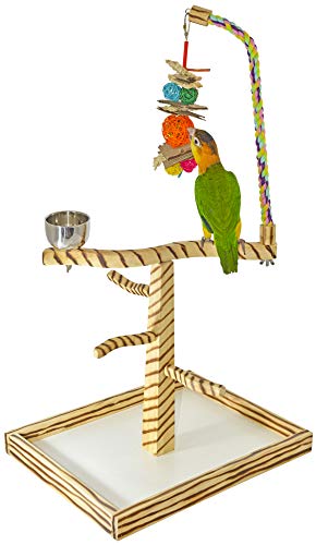 Birds LOVE Bird Play Gym Tischplatte mit Becher, Spielzeug-Aufhänger und Spielzeug, Bengalischer TigerTail Ständer – groß von Birds LOVE