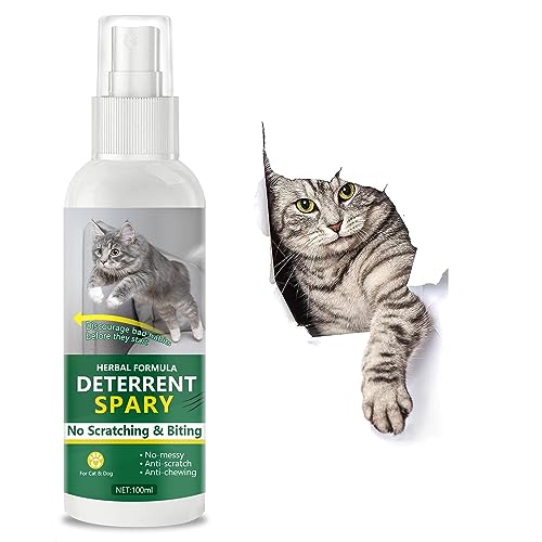 Birsppy Katzenabwehrspray, Natürlich wirkungsvoll Anti Kratz Spray Katzenfür Gärten und Innenräume, Katzenabwehrspray für Haustierverhaltenstraining, 100ml von Birsppy