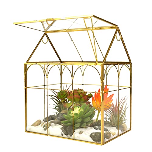 Großes Terrariumglas für Pflanzen, Glas, Gewächshaus, Terrarium mit Deckel, Innen-Tischplatte, Orchidee, Sukkulenten, Kakteen-Terrarium, Kit NA (Gold A) von horsemen