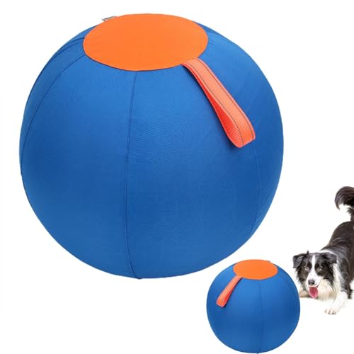 Birtern Aufblasbarer Hundeball für Hunde, 45 cm, für den Außenbereich, Mehrzweck-Ball, blau, verschleißfest, für Rasen, Innenhöfe, Schwimmbäder von Birtern