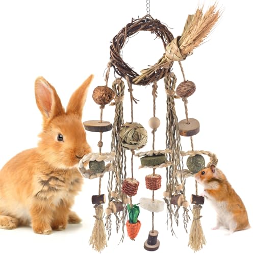 Bissap Hasenkauspielzeug, Kaninchenkäfig zum Aufhängen, Kauspielzeug und Leckerlis, Rattanring mit Snacks, Wassergras, Holzblock, Karotte für Meerschweinchen, Chinchillas, Hamster, Ratten und andere Bissap Hasenkauspielzeug, Kaninchenkäfig zum Aufhängen, Kauspielzeug und Leckerlis, Rattanring mit Snacks, Wassergras, Holzblock, Karotte für Meerschweinchen, Chinchillas, Hamster, Ratten und andere von Bissap