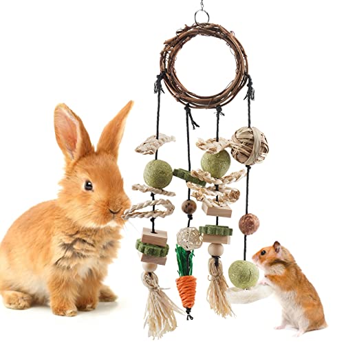 FQQF Bissap Bunny Chew Toy, Rabbits Cage Hanging Chew Toys and Treats Rattan Ring with Snacks for Guinea Pigs Chinchillas Hamsters Rats and Other Small Pets Teeth Grinding von Bissap