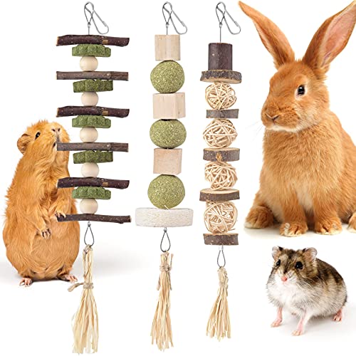 Kauspielzeug für Kaninchen, natürliches Spielzeug zum Aufhängen, für Meerschweinchen, Ratten, Hamster, Rennmäuse und andere kleine Haustiere, 3 Stück von Bissap