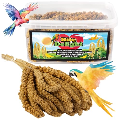 Bite & Delight 0,5kg Kolbenhirse Ganzjähriges Vogelfutter Ziervögel Wellensittiche Naturbelassene Hirsekolben Futter Papageienfutter von Bite & Delight