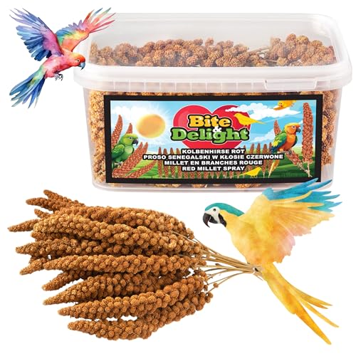 Bite & Delight 0,5kg Kolbenhirse Rot Ganzjähriges Vogelfutter Ziervögel Wellensittiche Naturbelassene Hirsekolben Futter Papageienfutter von Bite & Delight