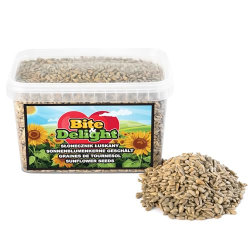 Bite & Delight 0,6 kg Sonnenblumenkerne Geschält Vogelfutter Wildvögel Ganzjährig Sommer Winter Vogelfutter Wildvogelfutter ohne Schale Sunflower Seeds von Bite & Delight