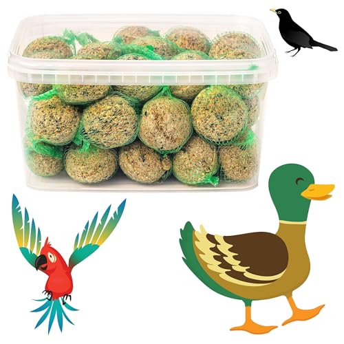 Bite & Delight 1,5kg Meisenknödel Fettfutterkugeln für Vögel Ideal für Meisen Spatzen Gartenvögel Vogelfutter Körnerkugel Nährstoffreiches Ganzjahresfutter von Bite & Delight