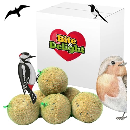 Bite & Delight 10 Stück x 500g Meisenknödel Große Fettfutterkugeln für Vögel Ideal für Meisen Spatzen Gartenvögel Vogelfutter Körnerkugel Nährstoffreiches Ganzjahresfutter von Bite & Delight