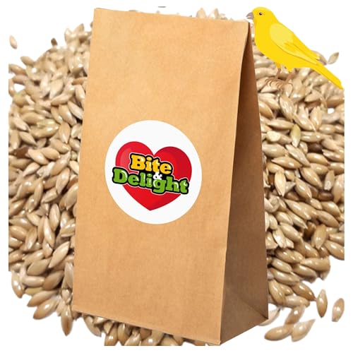 Bite & Delight 10kg Kanariensaat Kanarienhirse Reines Saatgut für Vögel, Papageien Kanarienvögel Kanarienfutter Vogel-Samen Canary Seed von Bite & Delight