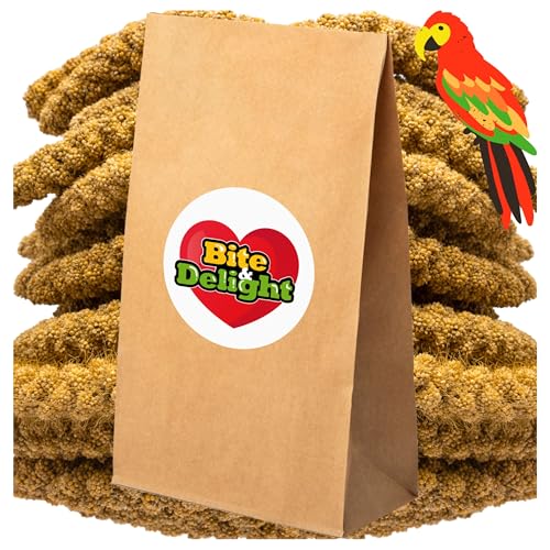 Bite & Delight 1kg Kolbenhirse Ganzjähriges Vogelfutter Ziervögel Wellensittiche Naturbelassene Hirsekolben Futter Papageienfutter von Bite & Delight