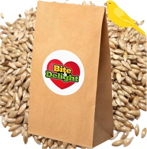 Bite & Delight 25kg Kanariensaat Kanarienhirse Reines Saatgut für Vögel, Papageien Kanarienvögel Kanarienfutter Vogel-Samen Canary Seed von Bite & Delight