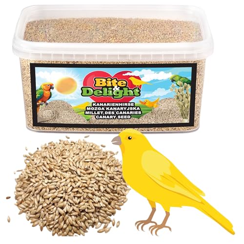 Bite & Delight 2kg Kanariensaat Kanarienhirse Reines Saatgut für Vögel, Papageien Kanarienvögel Kanarienfutter Vogel-Samen Canary Seed von Bite & Delight